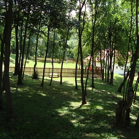 Aranyhegyi Vendeghaz Βίλα Telkibánya